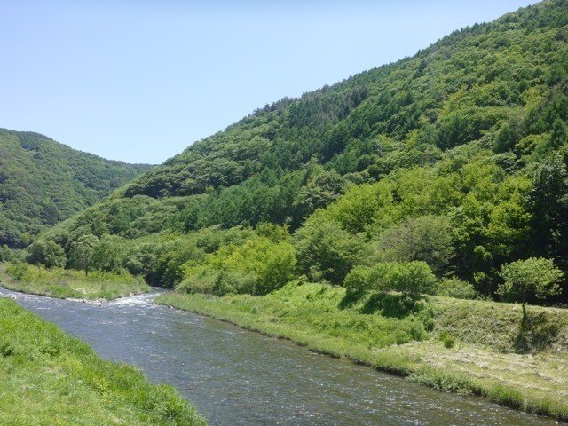 画像6