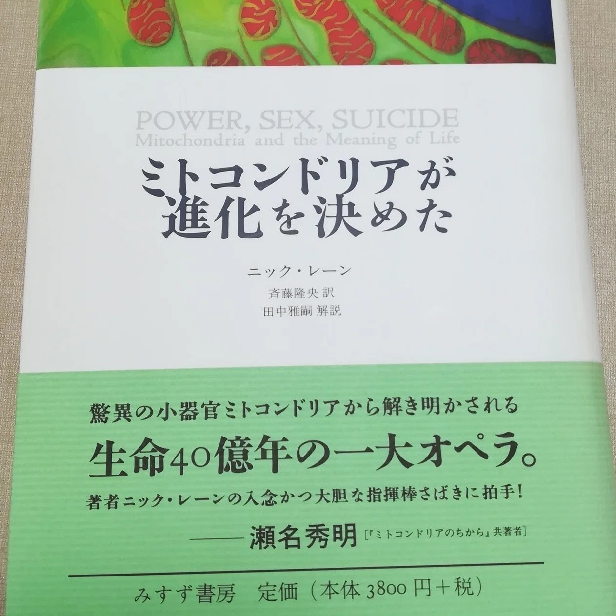 再読必至！文系向けオススメ理系本10選｜高井宏章