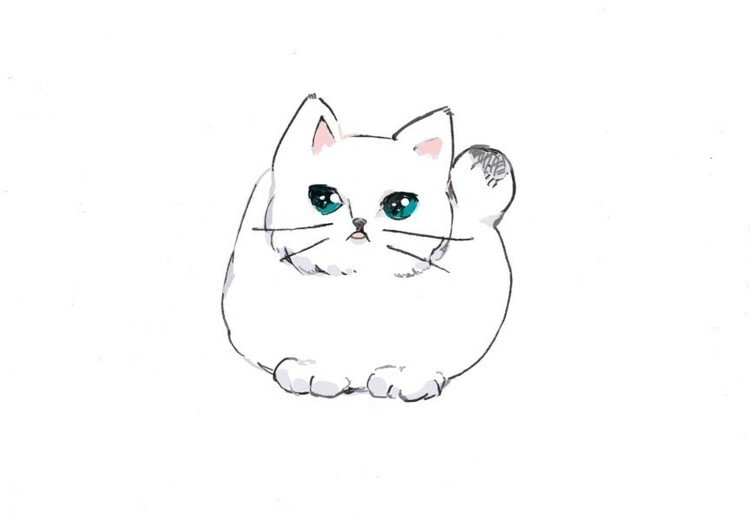 ゆるキャライラスト せん Note