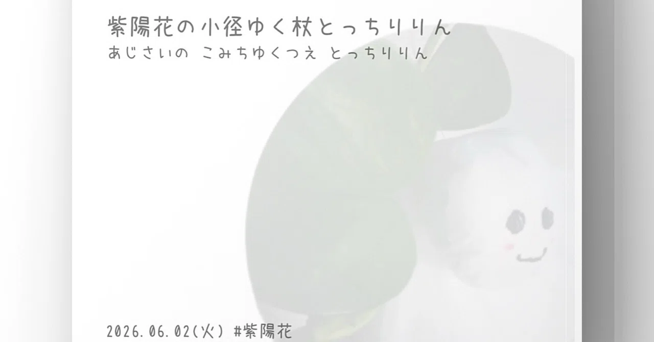 見出し画像