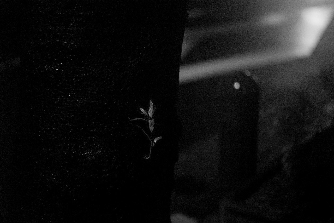 フィルム写真の何がいいのか Kunitaka Kawashimo Note フィルム写真の何がいいのか Kunitaka Kawashimo Note