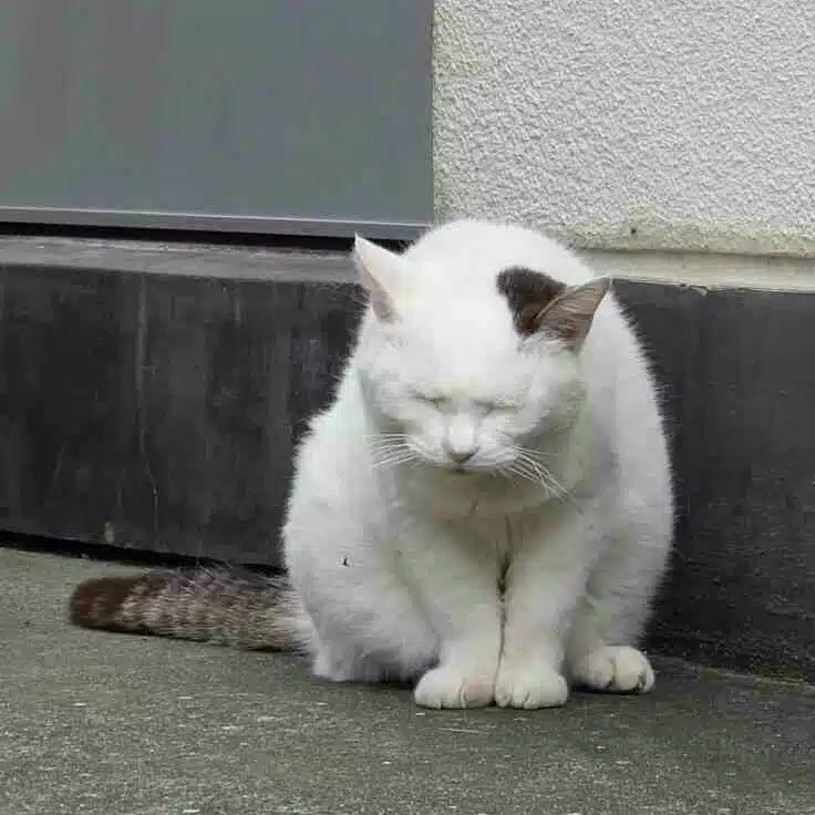 二階から目薬