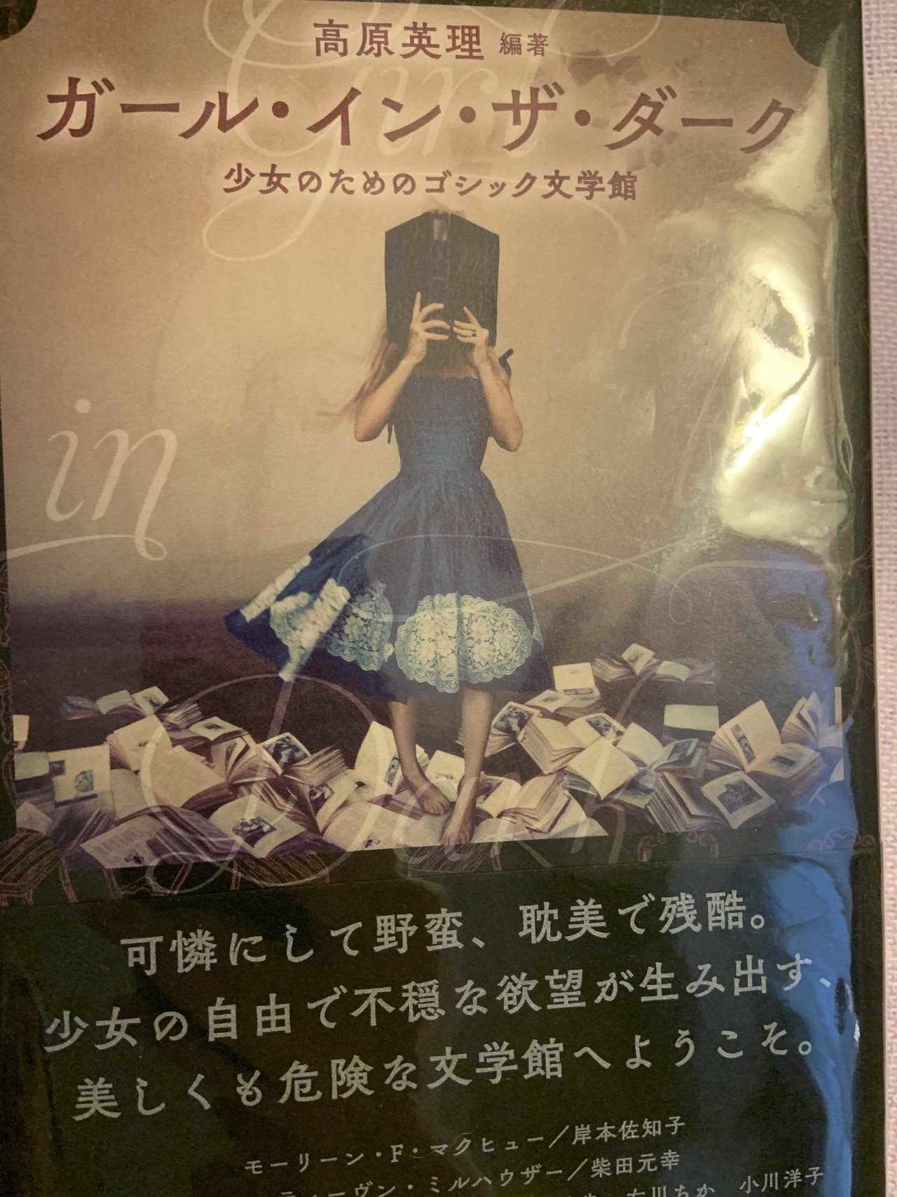 毒には毒をもって ずっと読みたいと思っていた 高原英理さん編著の ガール イン ザ ダーク 全24篇 当然の江戸川乱歩も とっくに少女ではないけど ゴシックの世界の住人になり浸る ガール ビスコ 真面目 Note