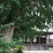 春伊館|尾張貫流槍術・柳生新陰流兵法