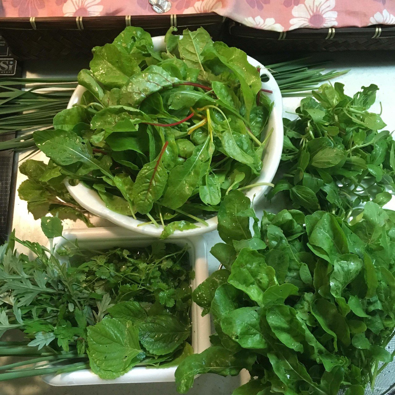 梅雨に入ったけど 晴れ間がチラリ 今のうちに畑の野菜を収穫せねば トマトの支柱を立てて 葉物を間引きながら収穫 虫 に食われるか私が先か これまた戦いだ トマトとズッキーニの花が咲いてて嬉しい だけど毎日 Hinatan Note