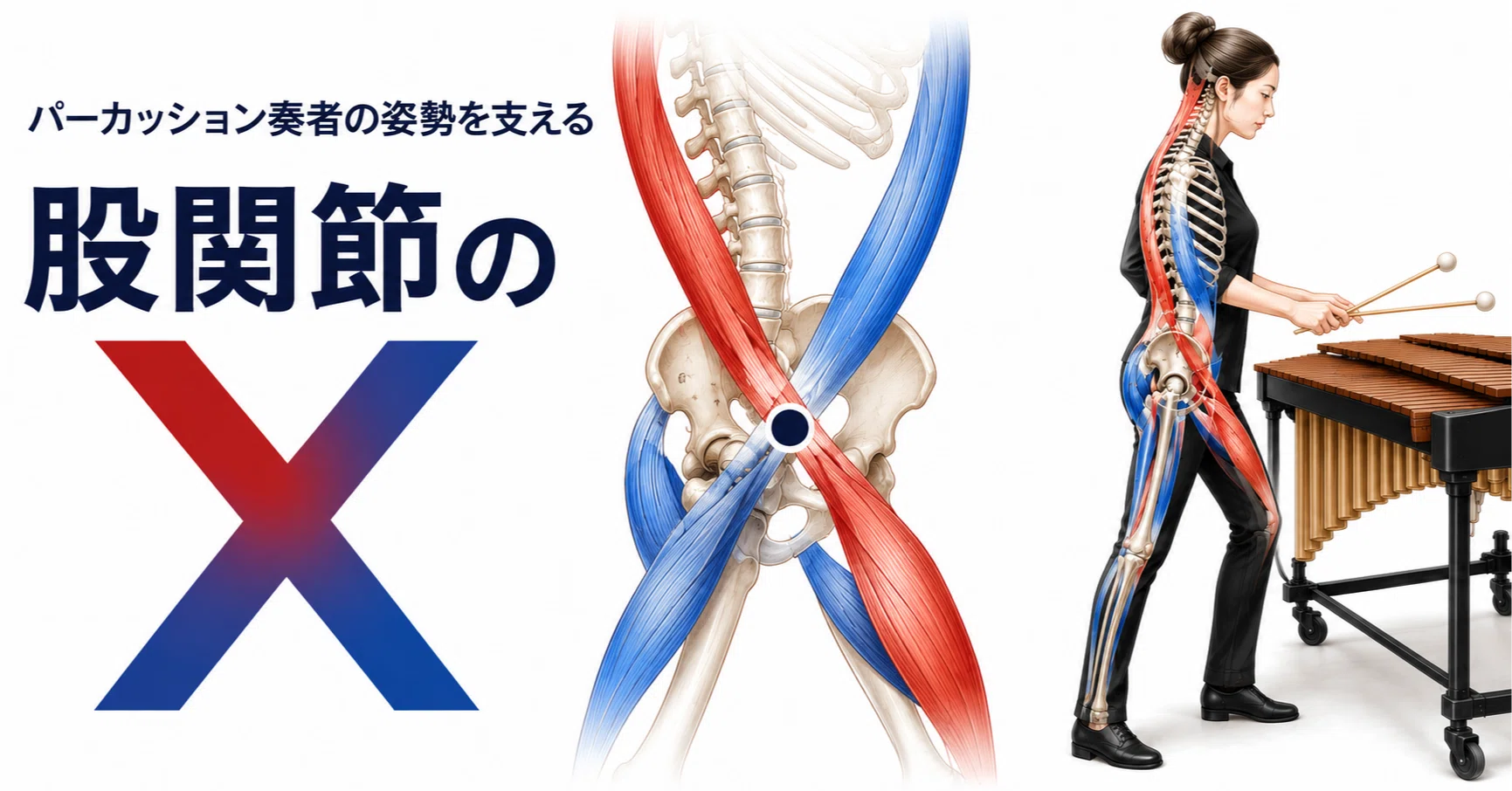股関節学 股関節の「X」｜Merge Labo 山本 篤