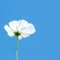 Nori｜言の葉の余白