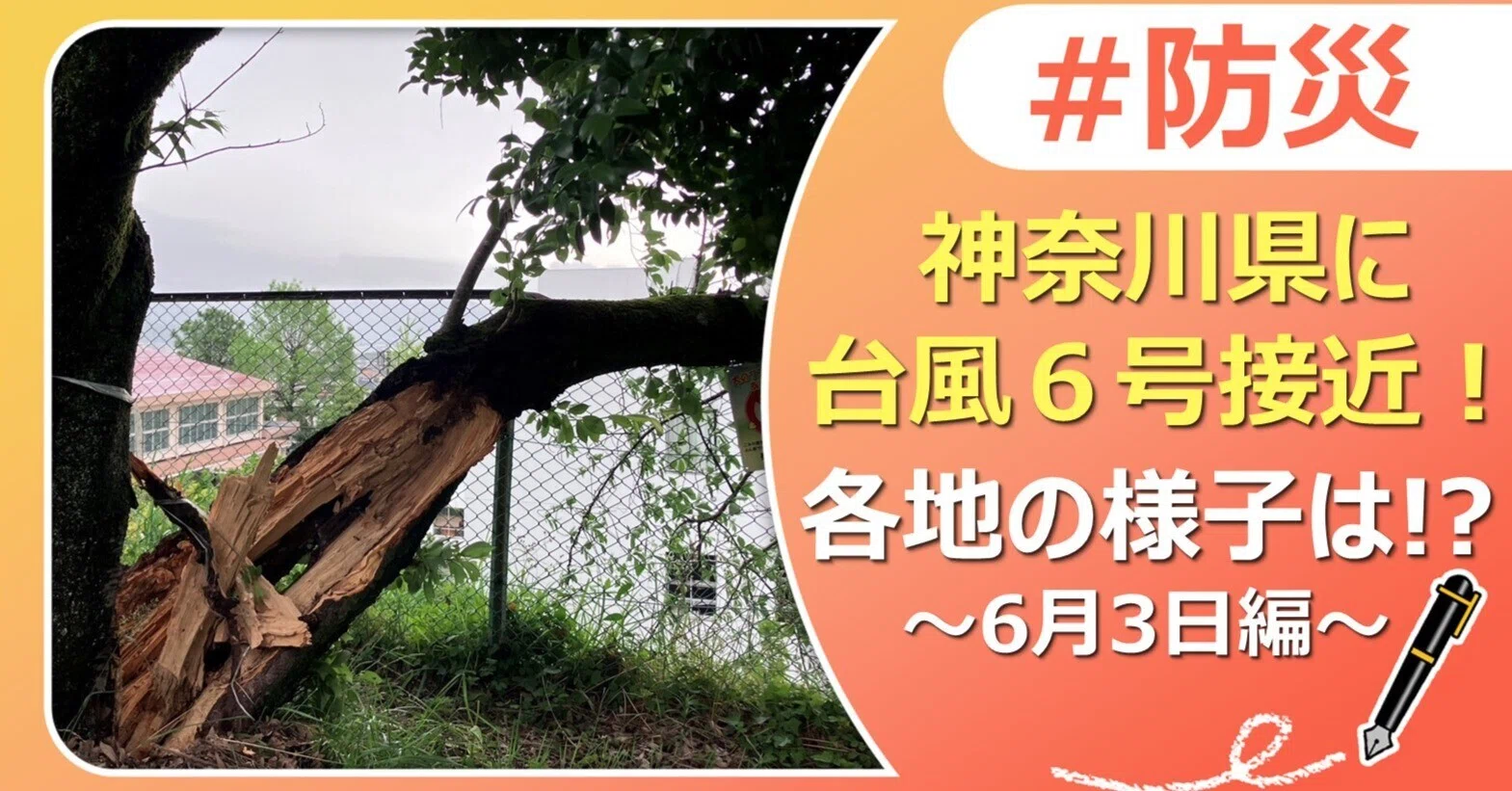 神奈川 県 台風