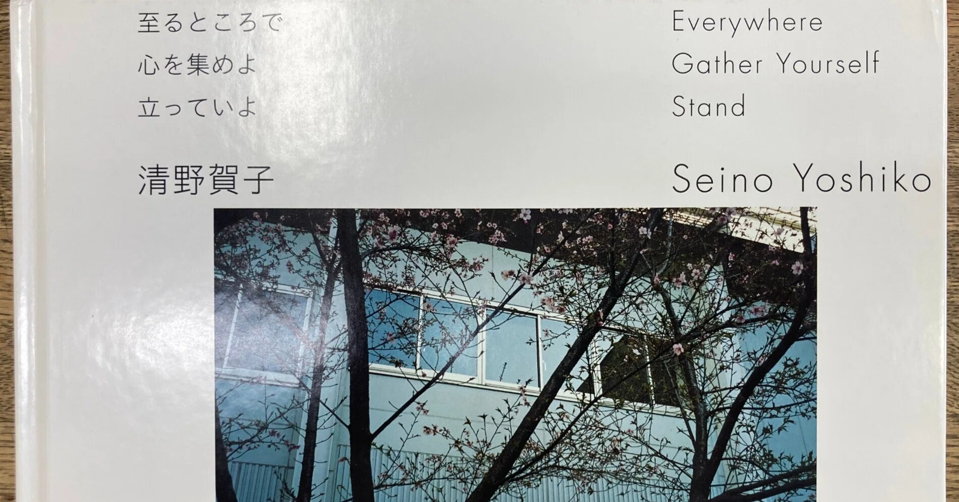 見えないものの輪郭について −清野 賀子 『THE SIGN OF LIFE』−」 No 