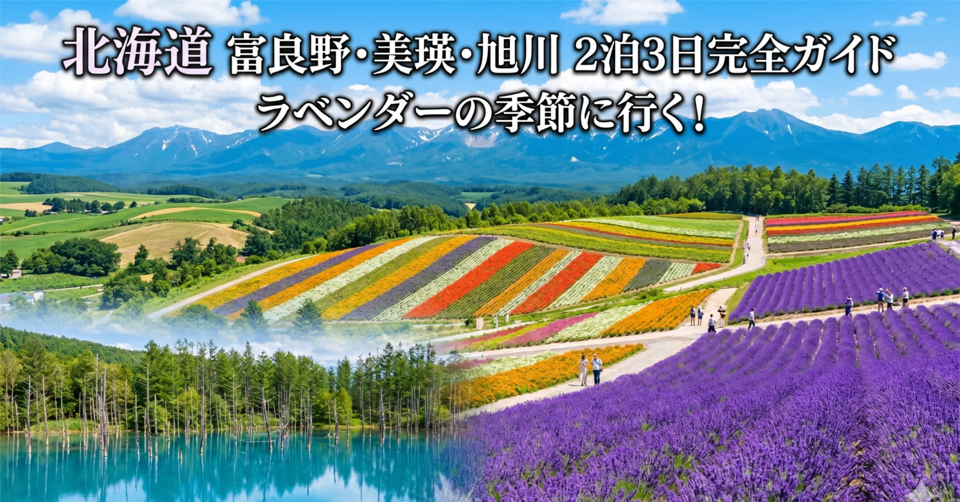 夏の北海道】 富良野・美瑛・旭川 編 2泊3日完全ガイド ラベンダーの