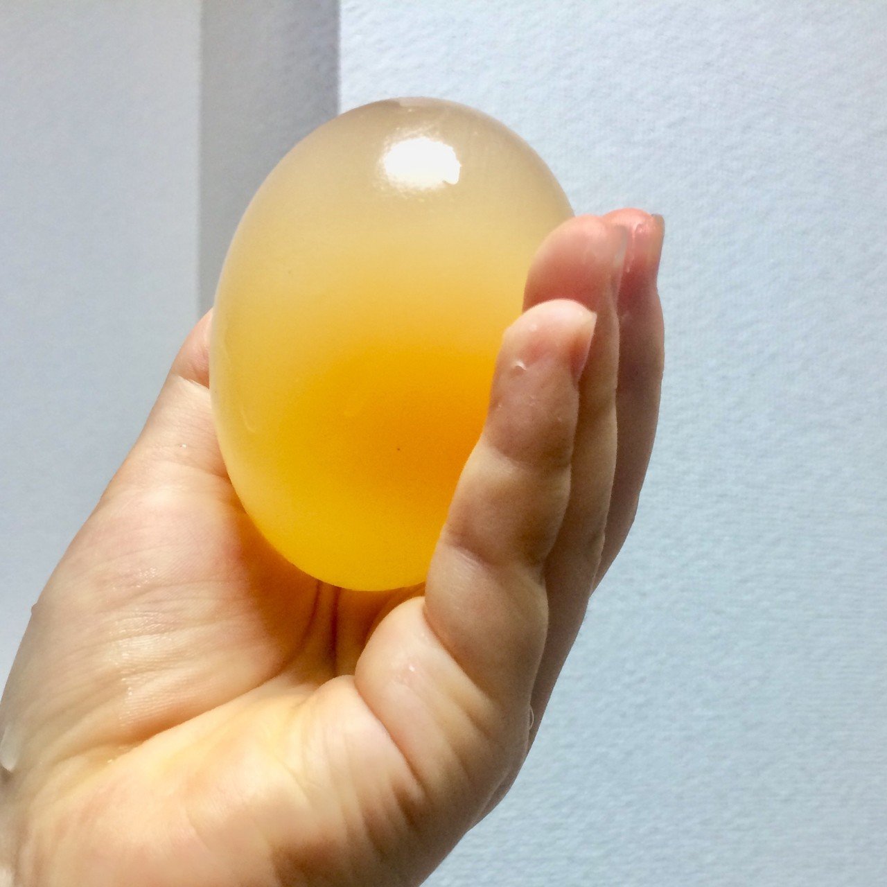 できたーッ スケルトン卵 空き瓶に卵とお酢を入れて冷蔵庫にin 正直に言うと すっかり 存在を忘れていて かなり放置していた でも 無事スケルトン卵 が完成 お酢の力で殻が溶け 薄皮だけになった卵 触 Kana Dharma Yoga Note