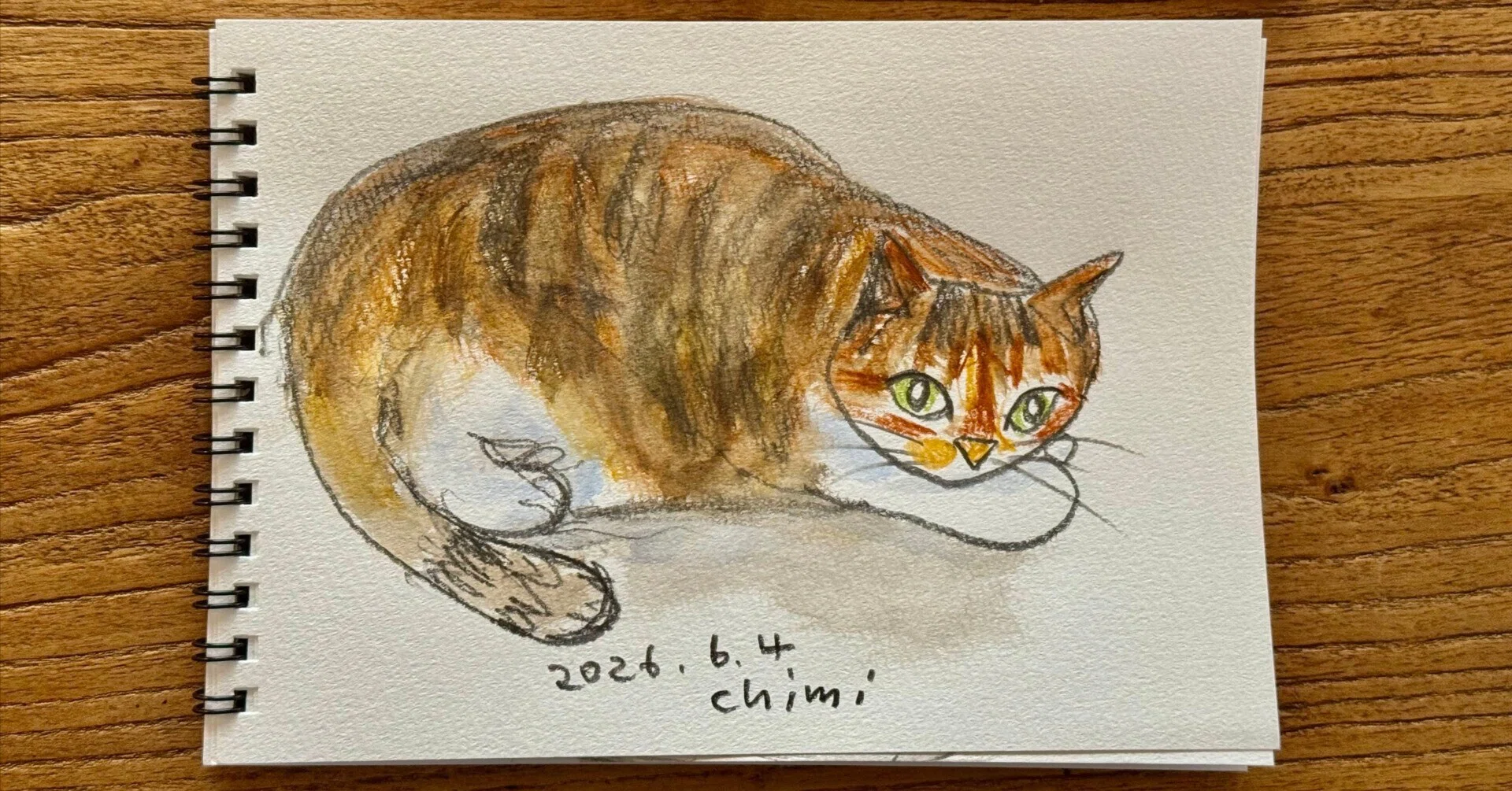 猫の絵｜山田 稔明