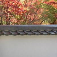 ぴったんこカンカン の新着タグ記事一覧 Note つくる つながる とどける ぴったんこカンカン の新着タグ記事一覧 Note つくる つながる とどける