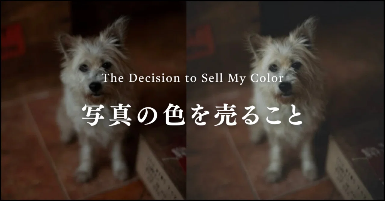 写真セット　おまとめ Lightroomプリセットの販売を始めました｜宮﨑 美咲 ｜nemurineco