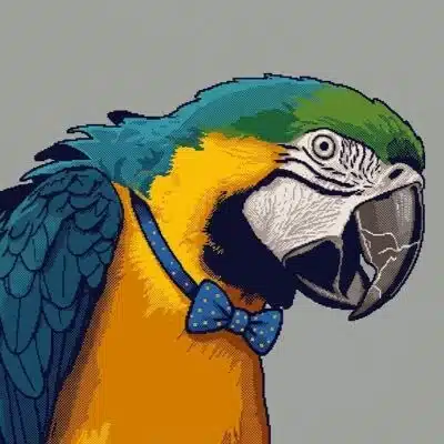 るりこんごう|成立条件のインコ