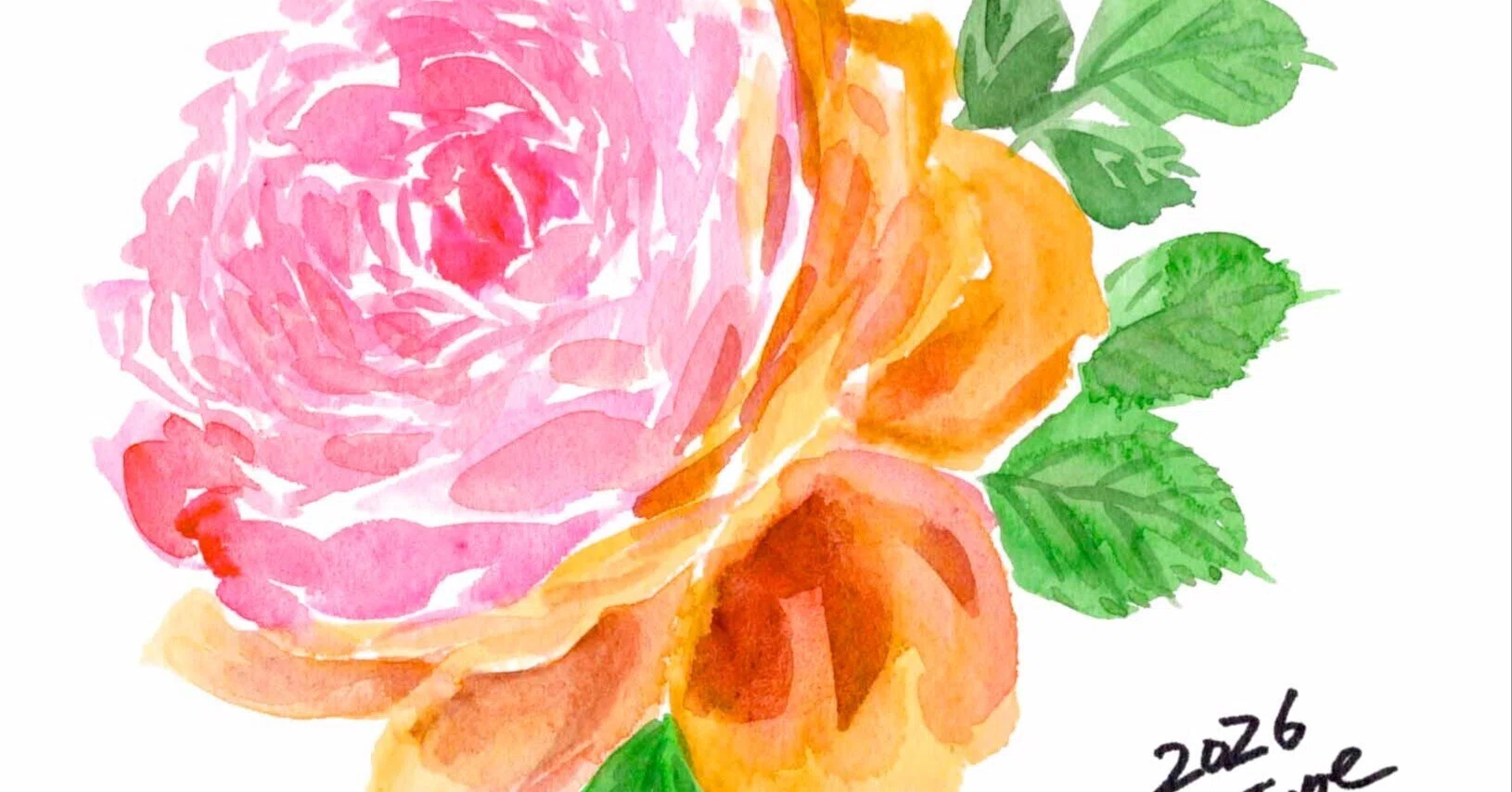 今夜も定番ですが薔薇でございます。｜kinta65