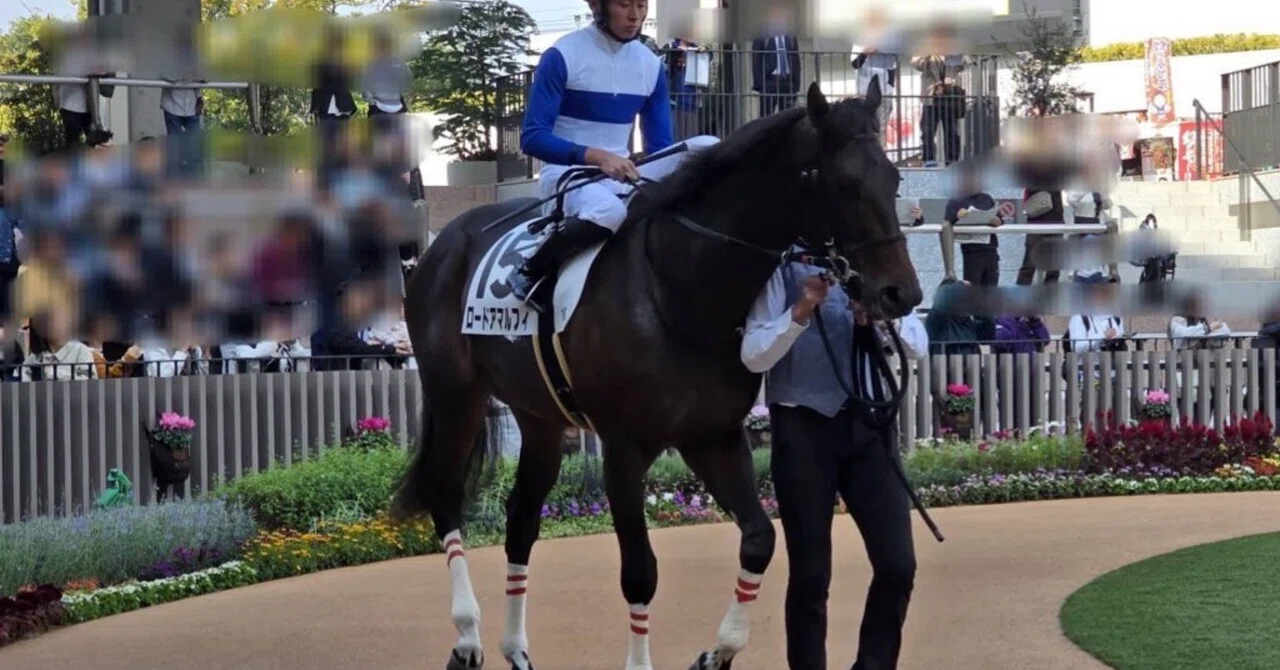 ロードTO】新馬戦前に2歳馬評価を公開しておく｜ぼーれい@一口馬主