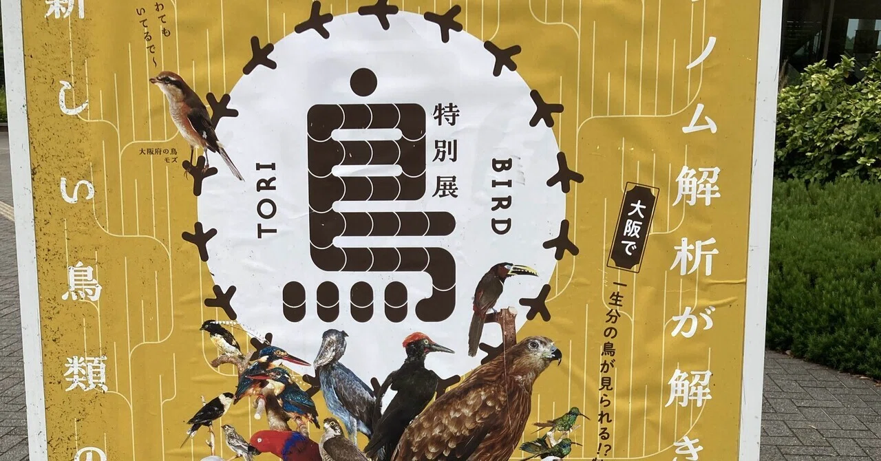 スタジオ飛鳥　ネメシス190 大阪市立自然史博物館の『鳥展』に行ってきました！米津さんの歌の烏
