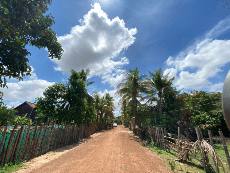 大切なあの人のおうちに続く道
青い空にヤシの木が映える
午後は雨になりそう

#コンポントム　#カンボジア #空
