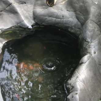 祖父が亡くなった話 クズフロッグ Note