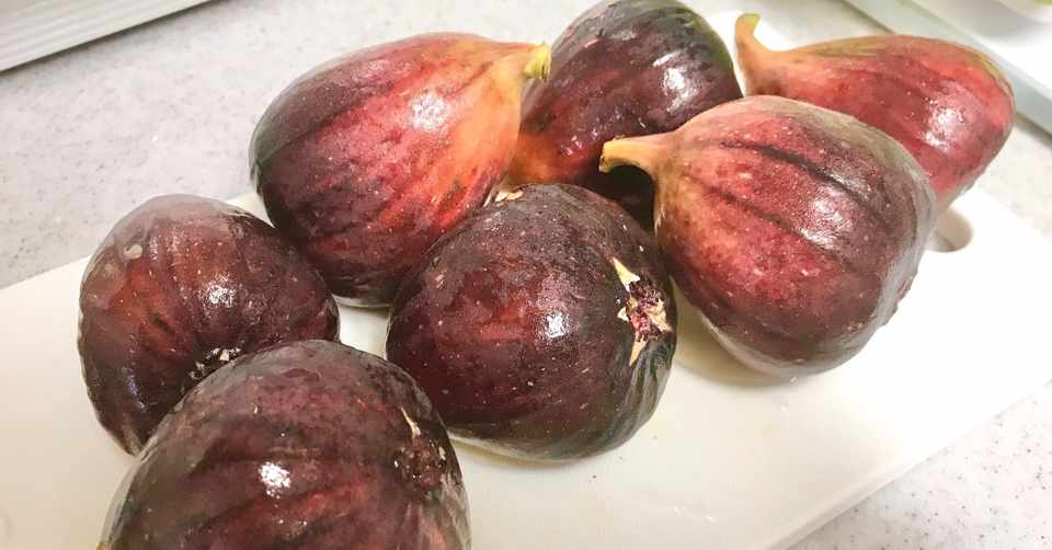 18 08 04 18 08 25 18 10 16 いちじくジャム Uncountable Note