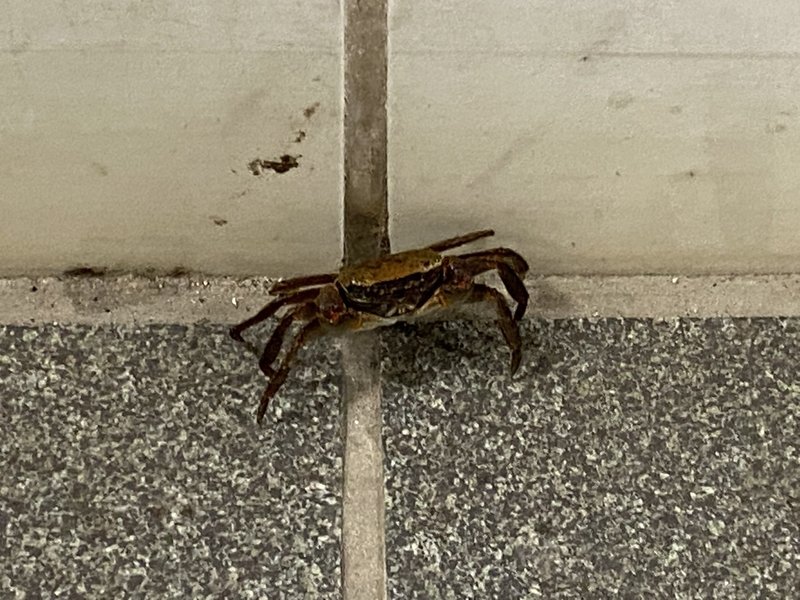 年に何度か同じことで驚く 村木藤志郎 Note