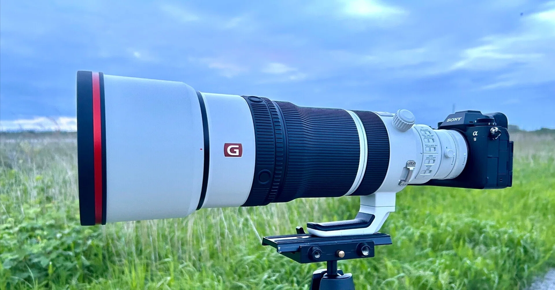 FE 100-400mm F4.5 GM OSSの最初の感想｜TOLIMAN Hondα