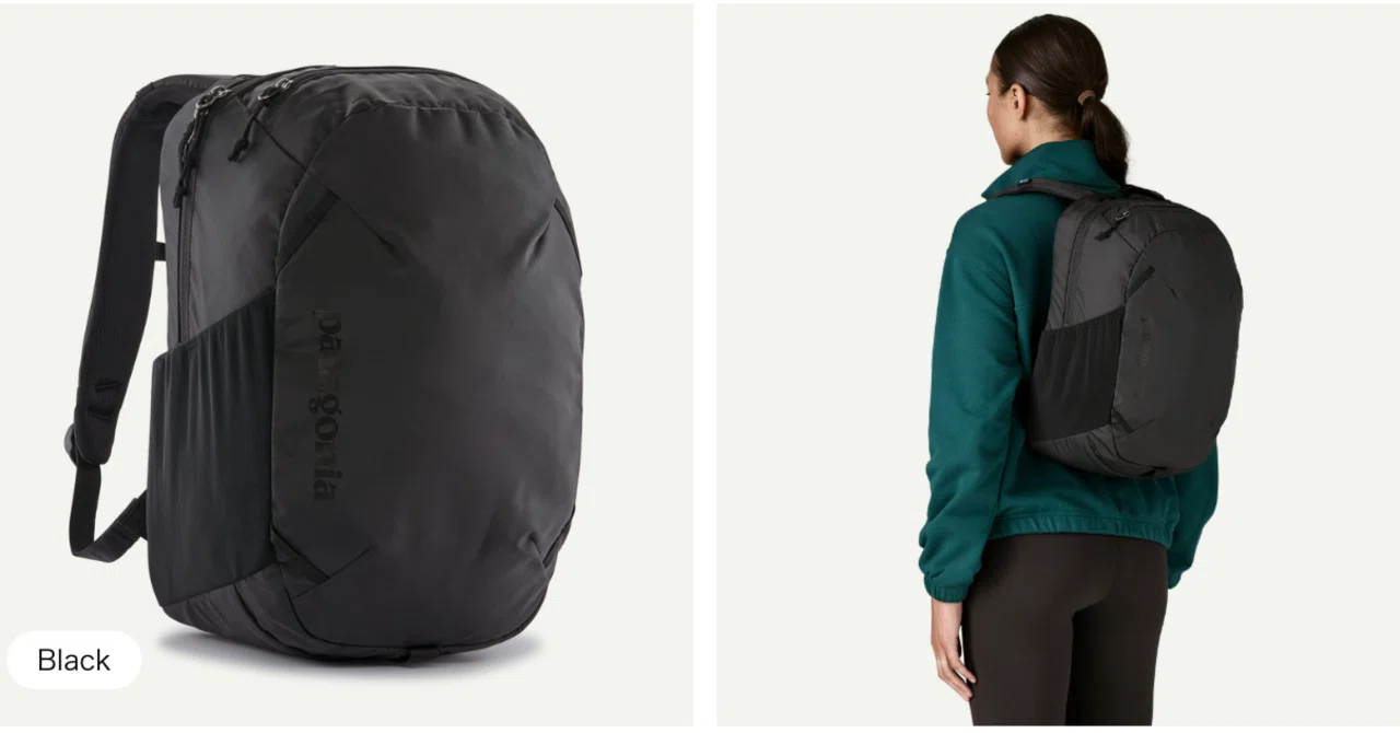 通勤リュックに選ばれたのはPatagoniaのアトム・デイパック24Lでした