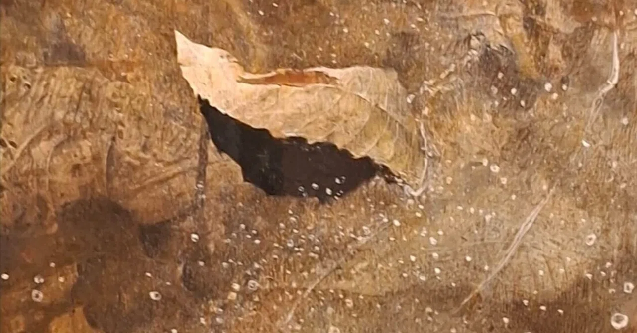 31 Resonating Time / 《Thin Ice》 / Andrew Wyeth Exhibition