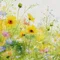 野花（のばな）本当の自分を生きる✨