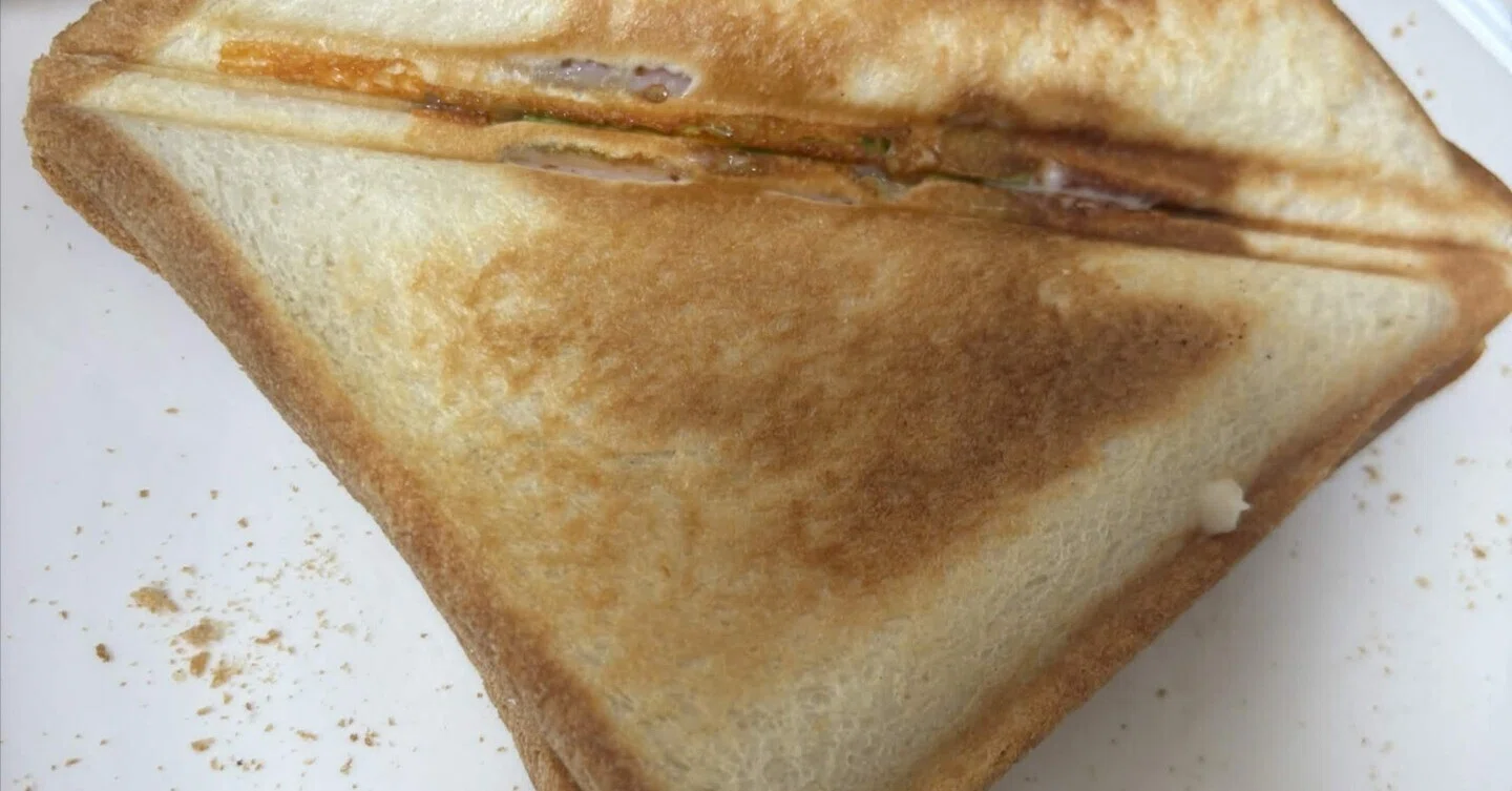 I Bought a Hot Sandwich Maker! A Breakfast Review That Even