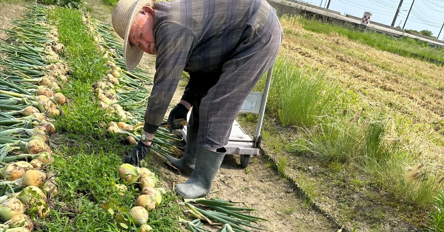 山家農園備忘録～2025年6月前半｜酒菜やまさき