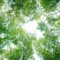 supervisualizer 7D
