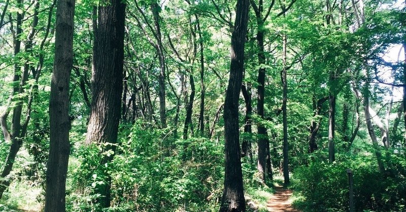 太ももの内側弛んでいませんか 千舟 指圧マッサージサロン Note