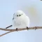 あらかわ