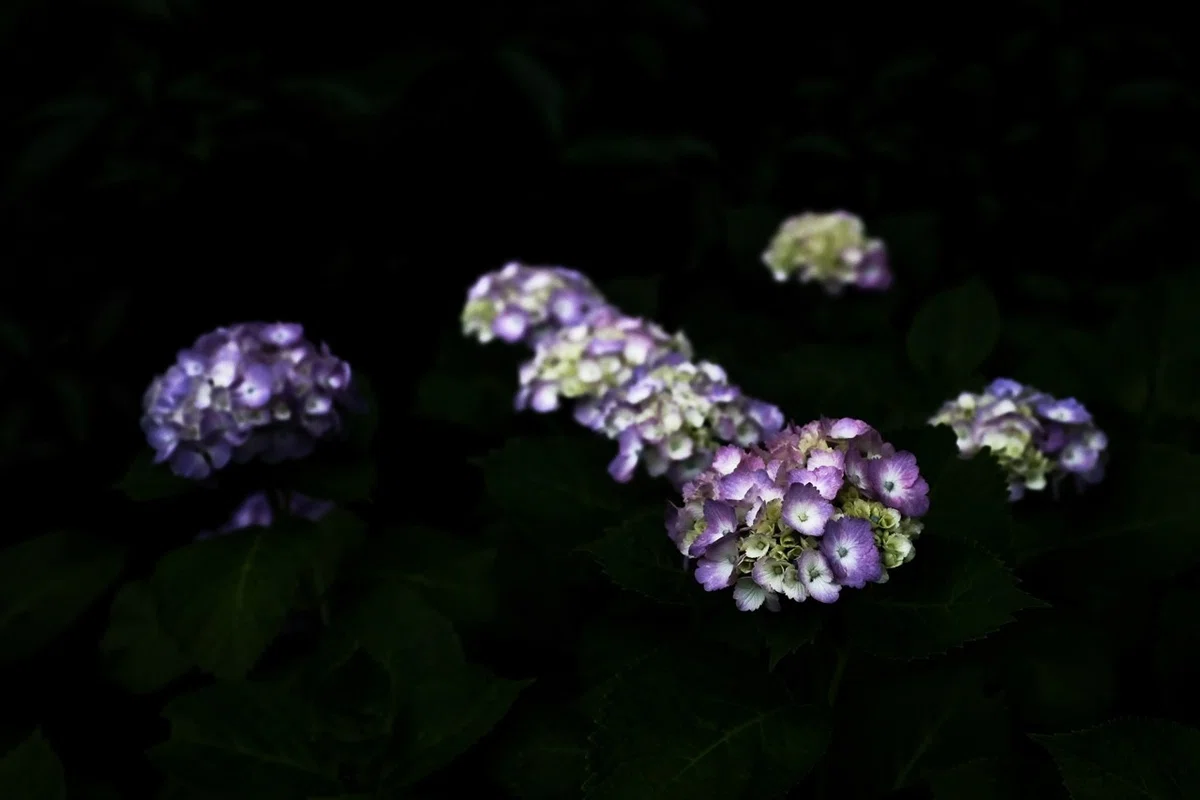 画像9