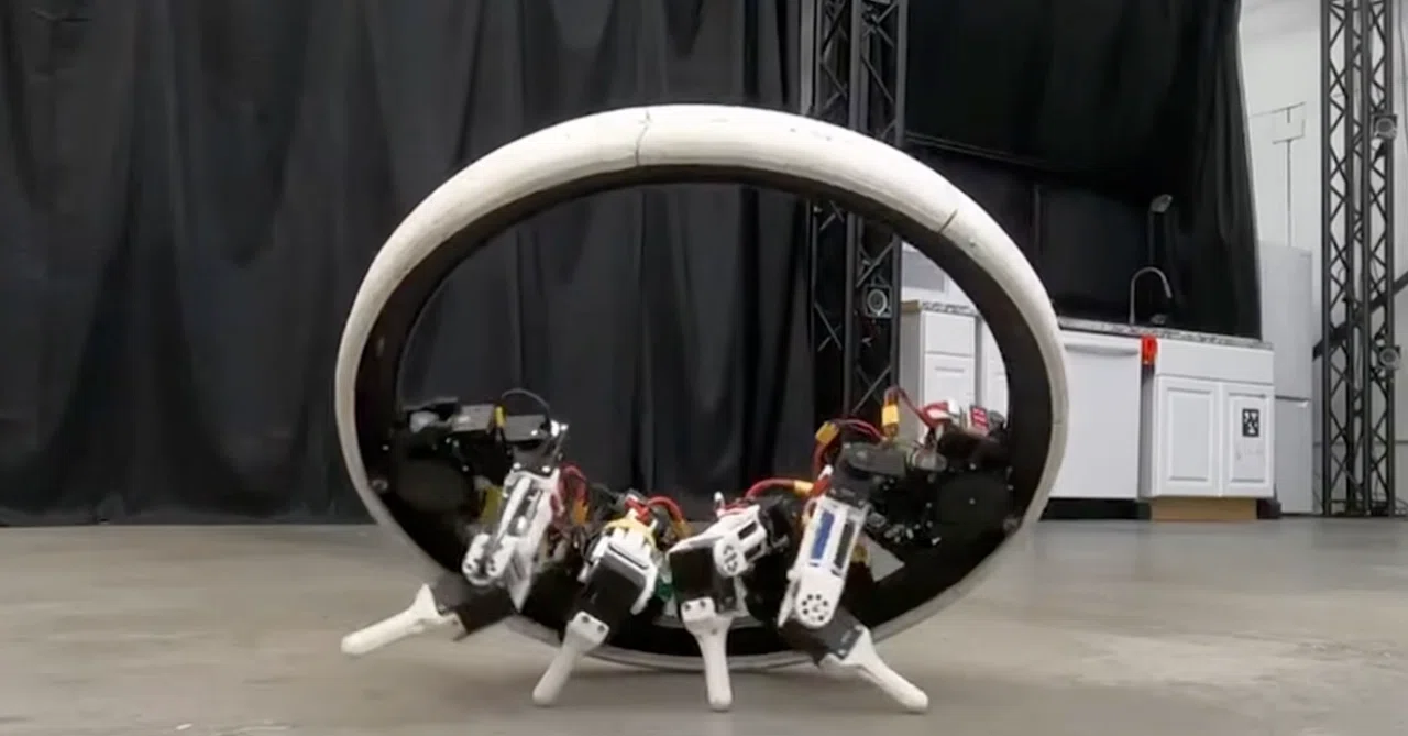 1つの車輪の中に、脚が4本。イリノイ大学「Ringbot Quad」が問い直す、ロボットの移動という前提｜ROBOSIKI
