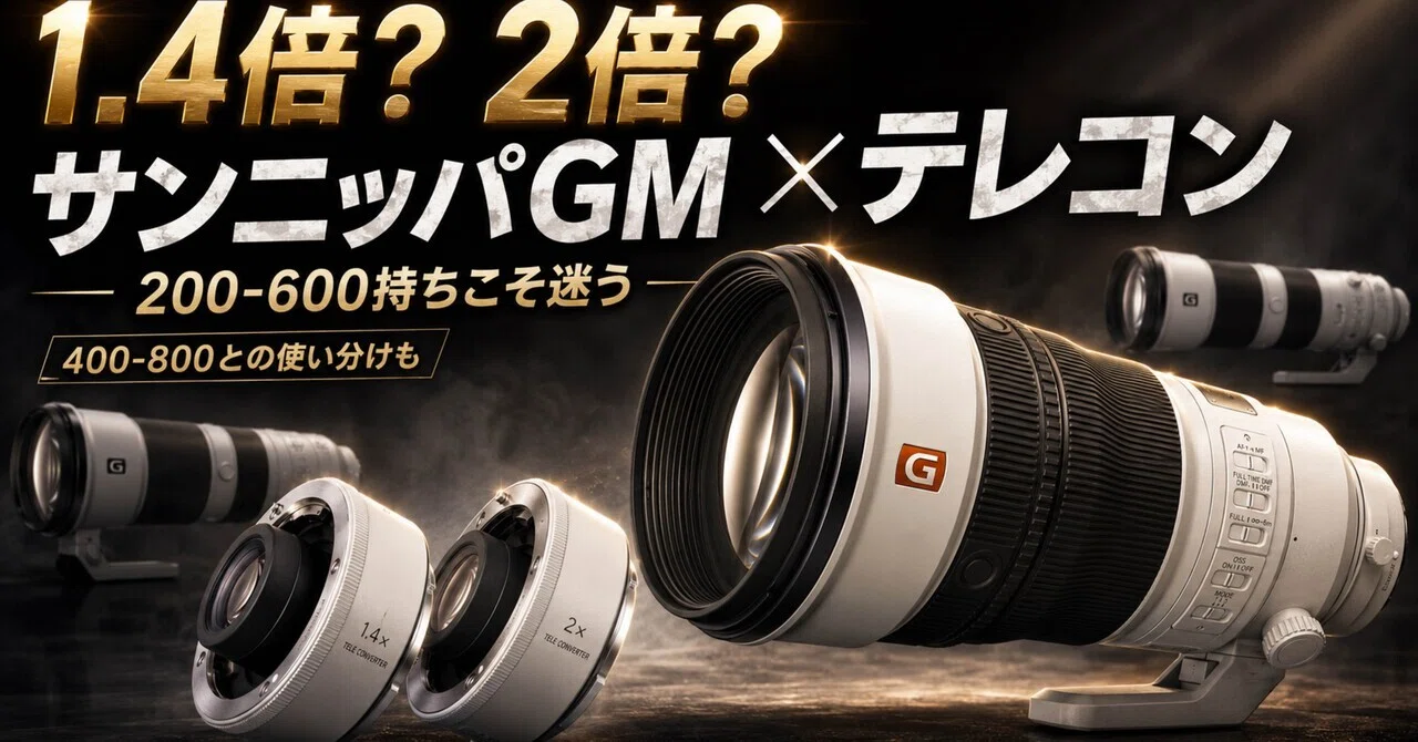 サンニッパGMにテレコンは必要？1.4倍と2倍、200-600mm持ちが本当に