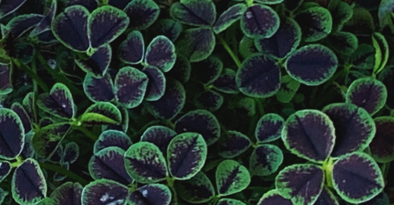 「カジュアルずるい」の罠