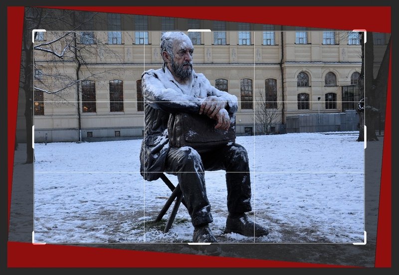 スクリーンショット 2020-06-15 11.55.43+