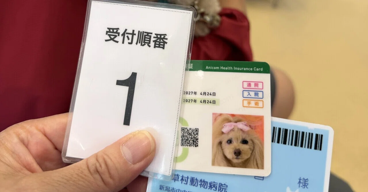 櫻のこと【8年目の癌の検診】｜サクライノセンス