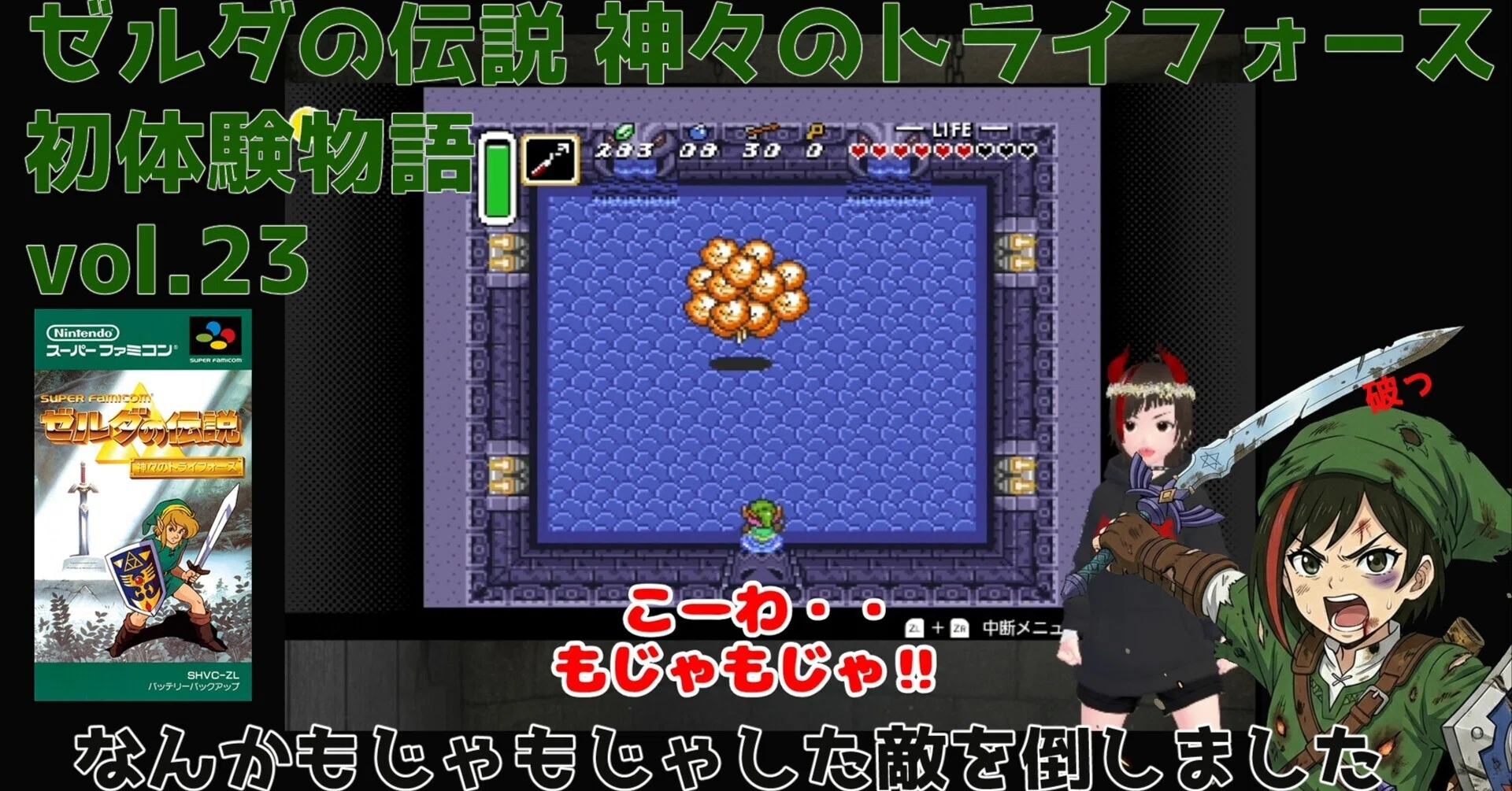 ゼルダと彷徨う時代錯誤の自称勇者｜天罰なる日々