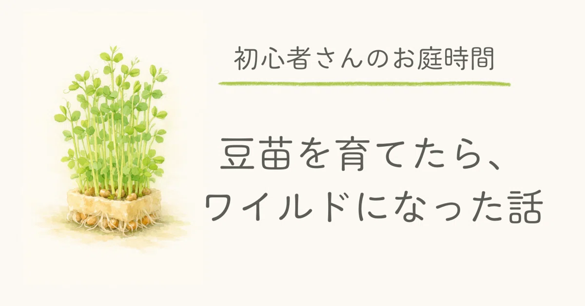 見出し画像