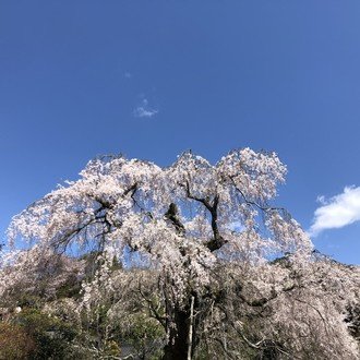 トップに移動