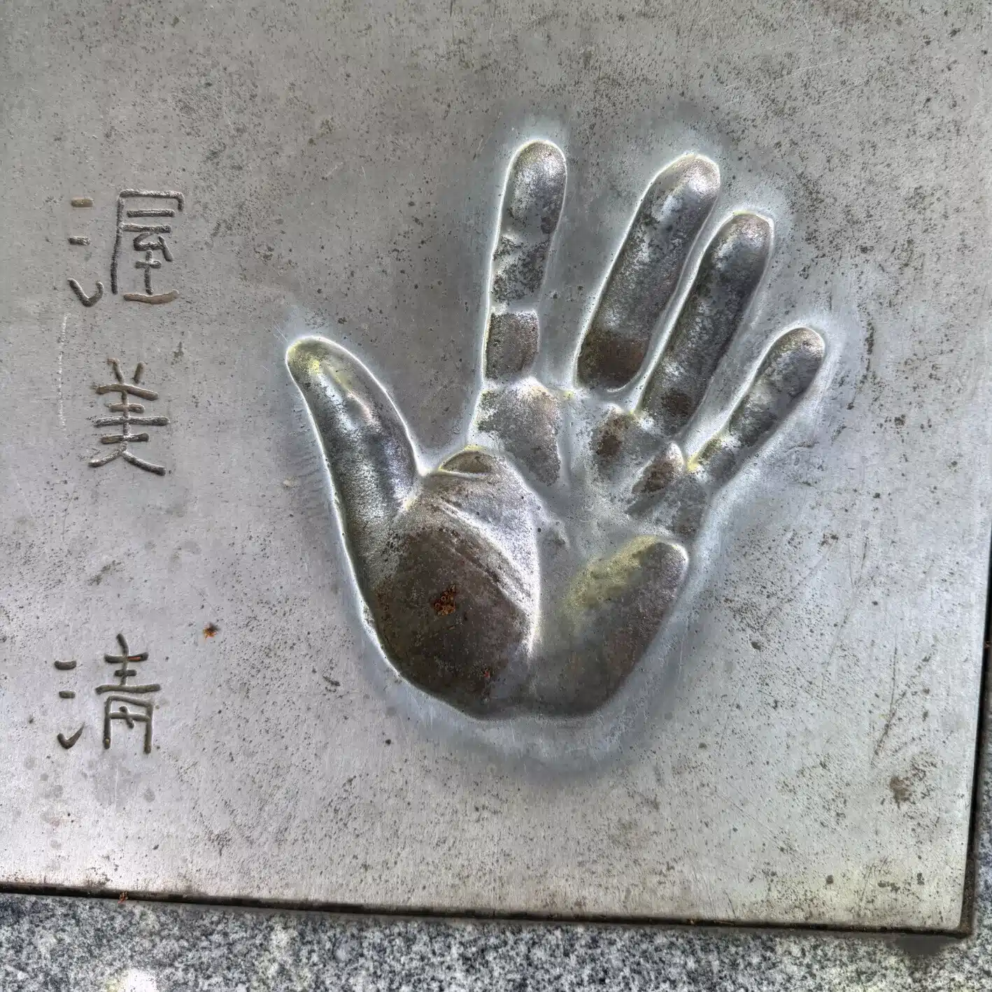 青筋　叶　(あおすじかのう)