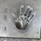 青筋 叶 (あおすじかのう)