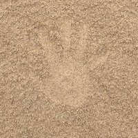 川砂 山砂 海砂 砕砂について Codama Note