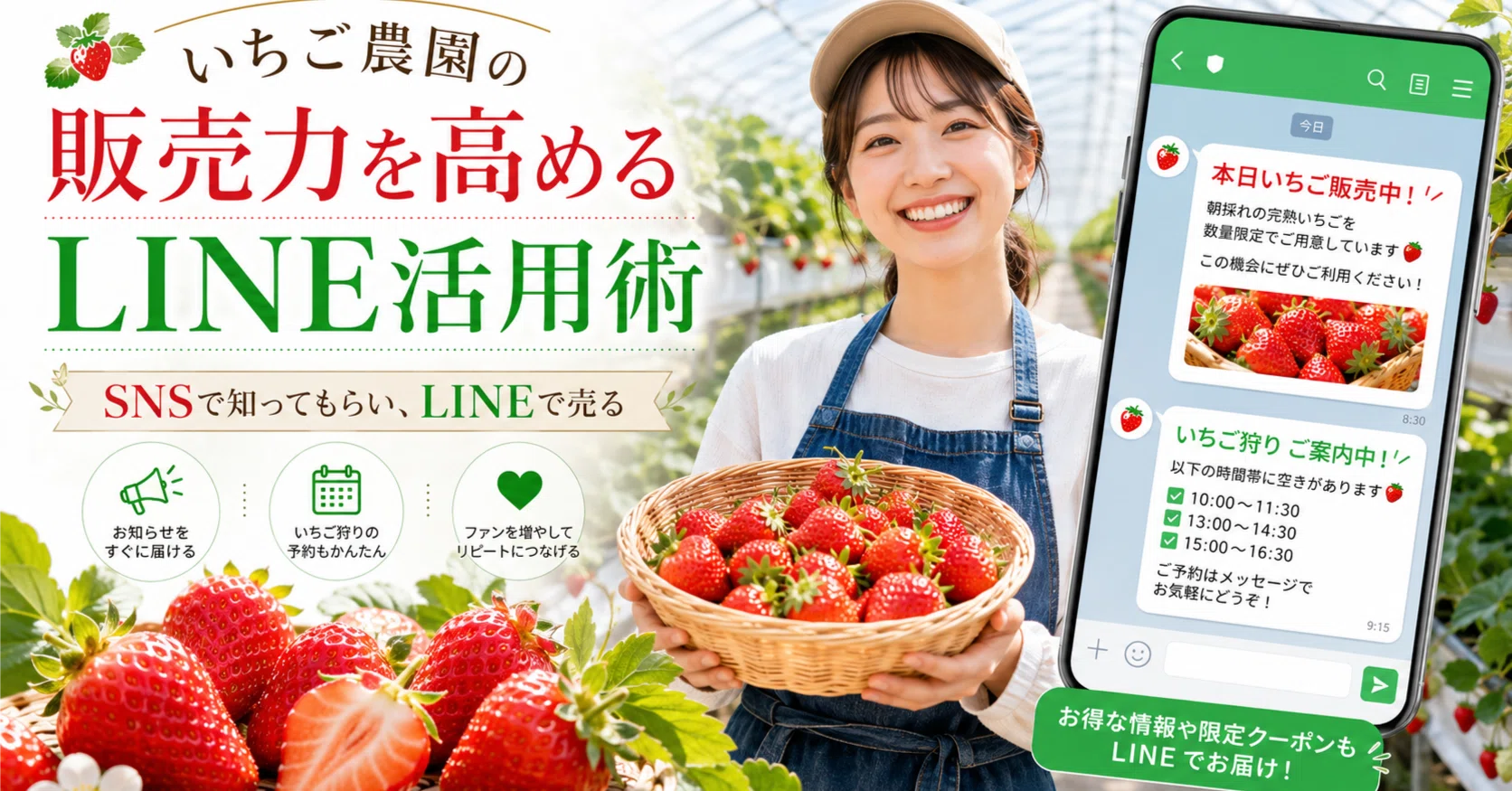 LINE販売は、いちご農園と相性がいい～いちご農園未来学 第13回｜日本
