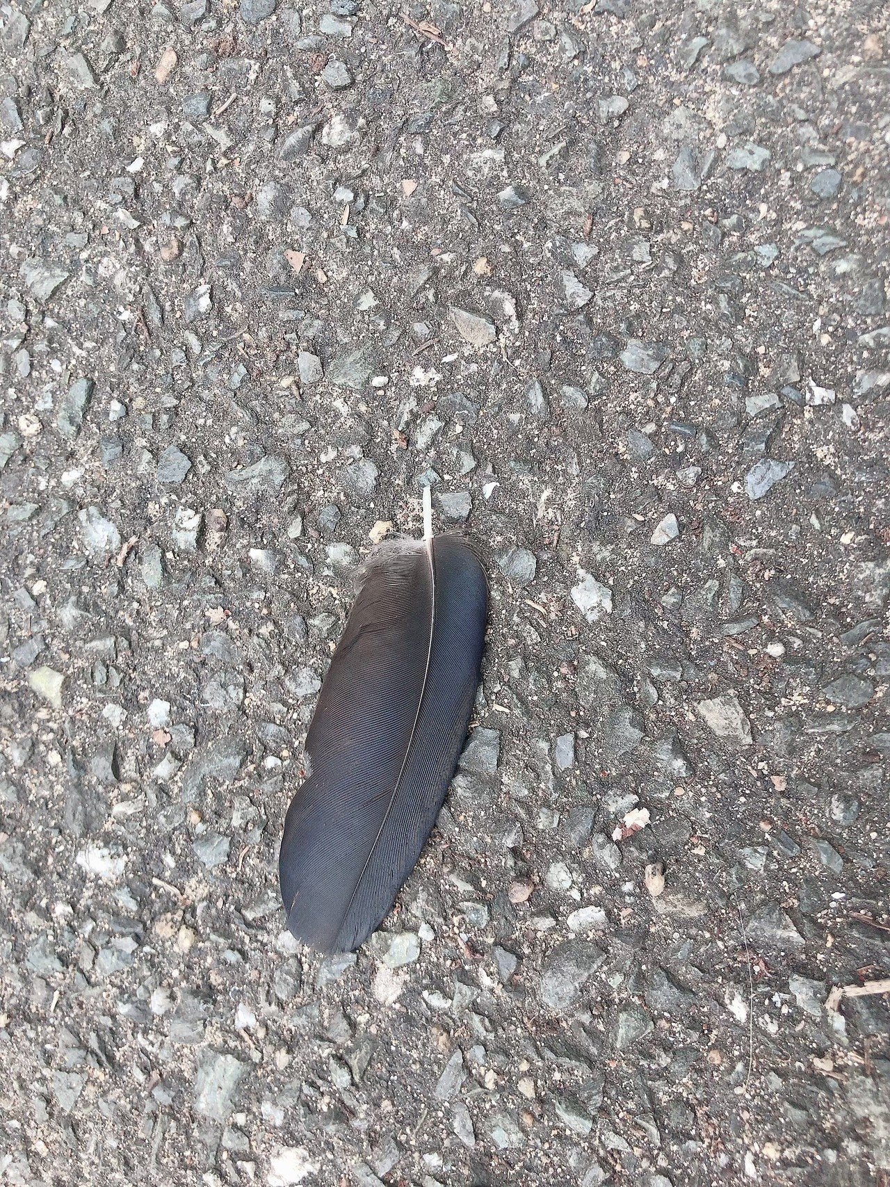 カラスの羽発見 元キャバ嬢ソープ嬢 麗華 Note カラスの羽発見 元キャバ嬢ソープ嬢 麗華 Note