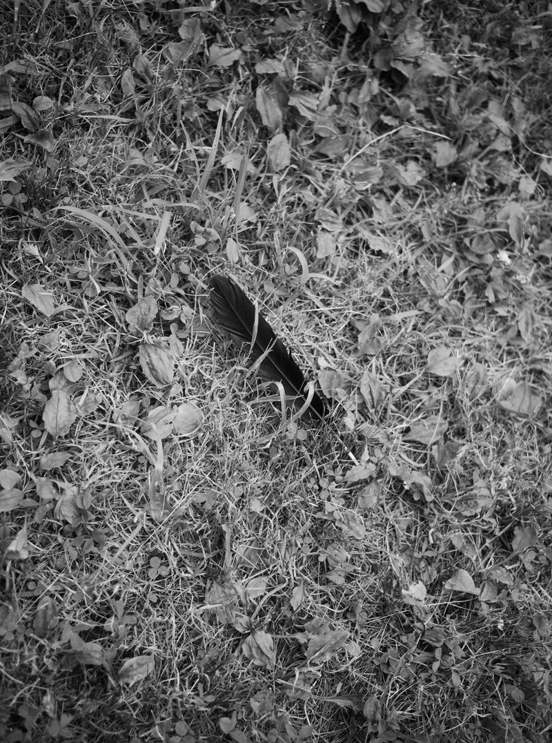 Leica M9をモノクロ使いしてみた結果 萩原賢一郎 Note